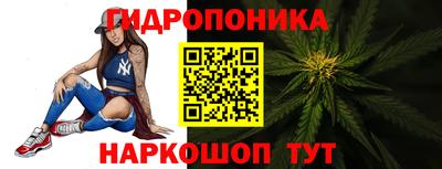 гашик Ипатово