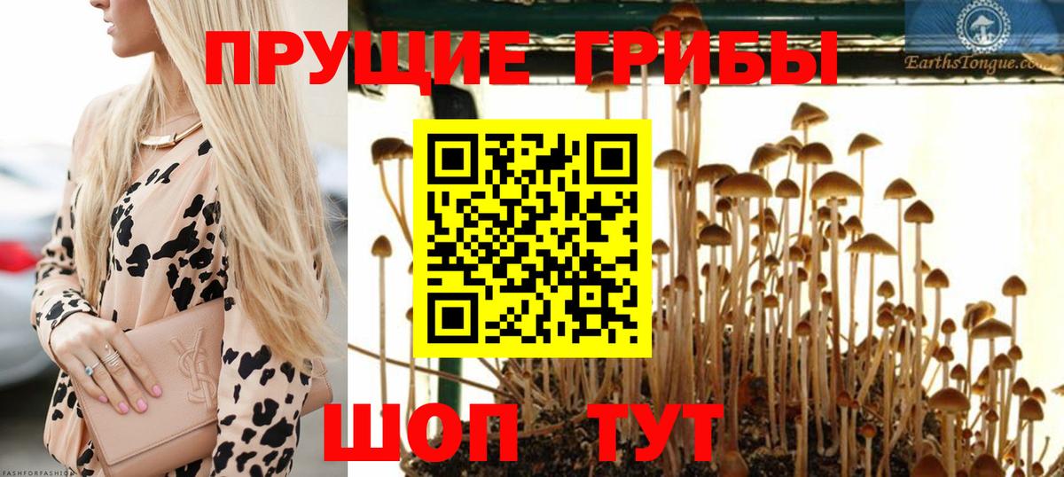Галлюциногенные грибы GOLDEN TEACHER Майский