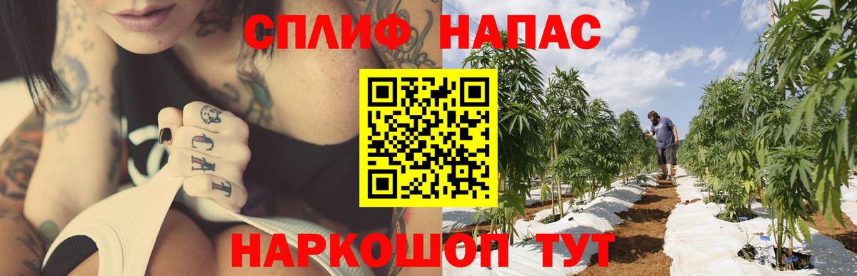Марихуана конопля  МАРИХУАНА AK-47  Майский  Вход с VPN  Марихуана гибрид  Бошки марихуана ГИДРОПОН 